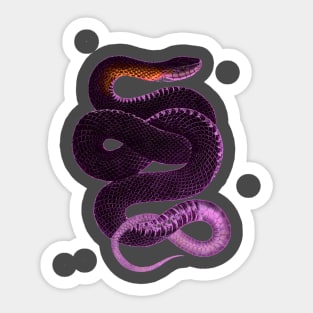 serpent,cobra,reptile,viper,venom,lizard,rattlesnake,king cobra,dragon,hydra,poison,venomous,plumber's snake,pythonidae,pythons,auger,python,squamata,serpentine,worm,big,ophidian,rattlesnakes,medusa,snakebite Sticker